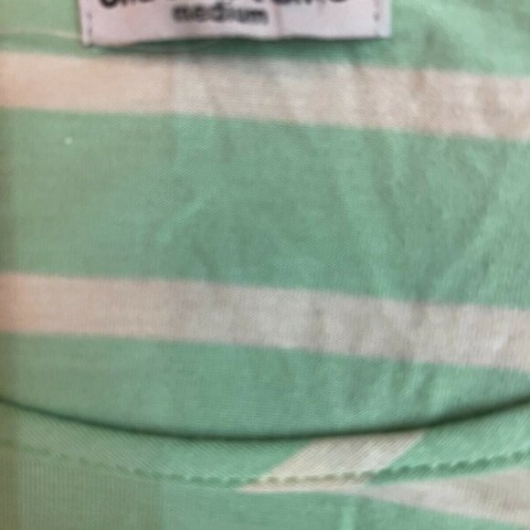 Cha Cha Vente M Mint Green Striped Sheer Step- Hem Short Sleeve Tee - Picture 6 of 6